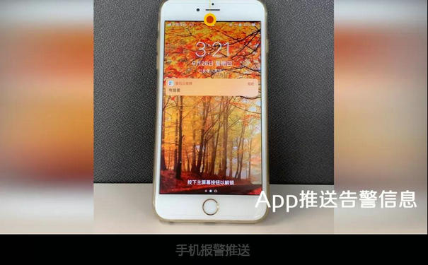 ?？低暿謾C(jī)APP報(bào)警推送